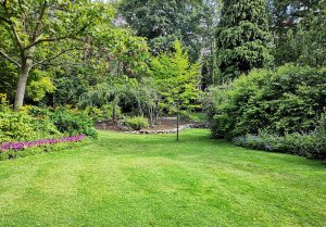 Optimiser l'expérience du jardin à Saint-Honore-les-Bains